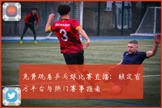 免费观看乒乓球比赛直播：锁定官方平台与热门赛事指南